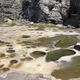 Illustration for article titled Pics from the (Ocean Floor): 2018-05-05 at Botanical Beach
